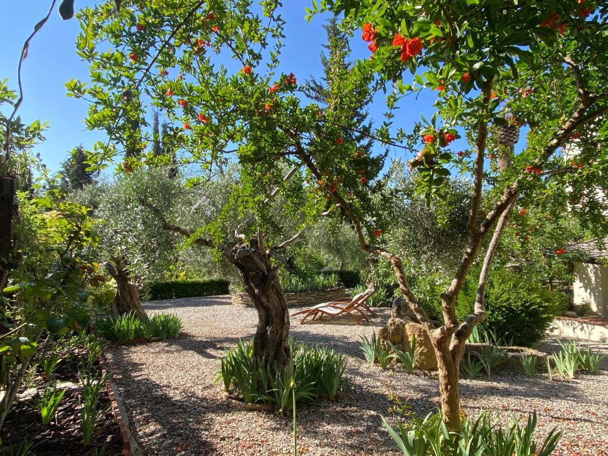 Beautiful Country House Near Ronda Arriate Exteriér fotografie